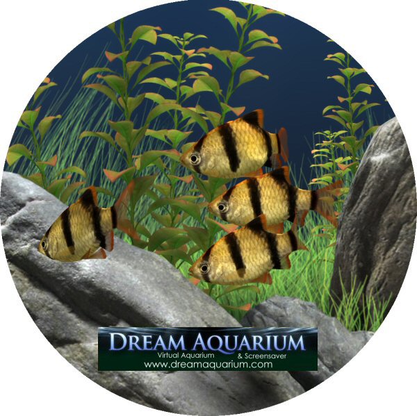 fcwesh dream aquarium ekran koruyucu indir