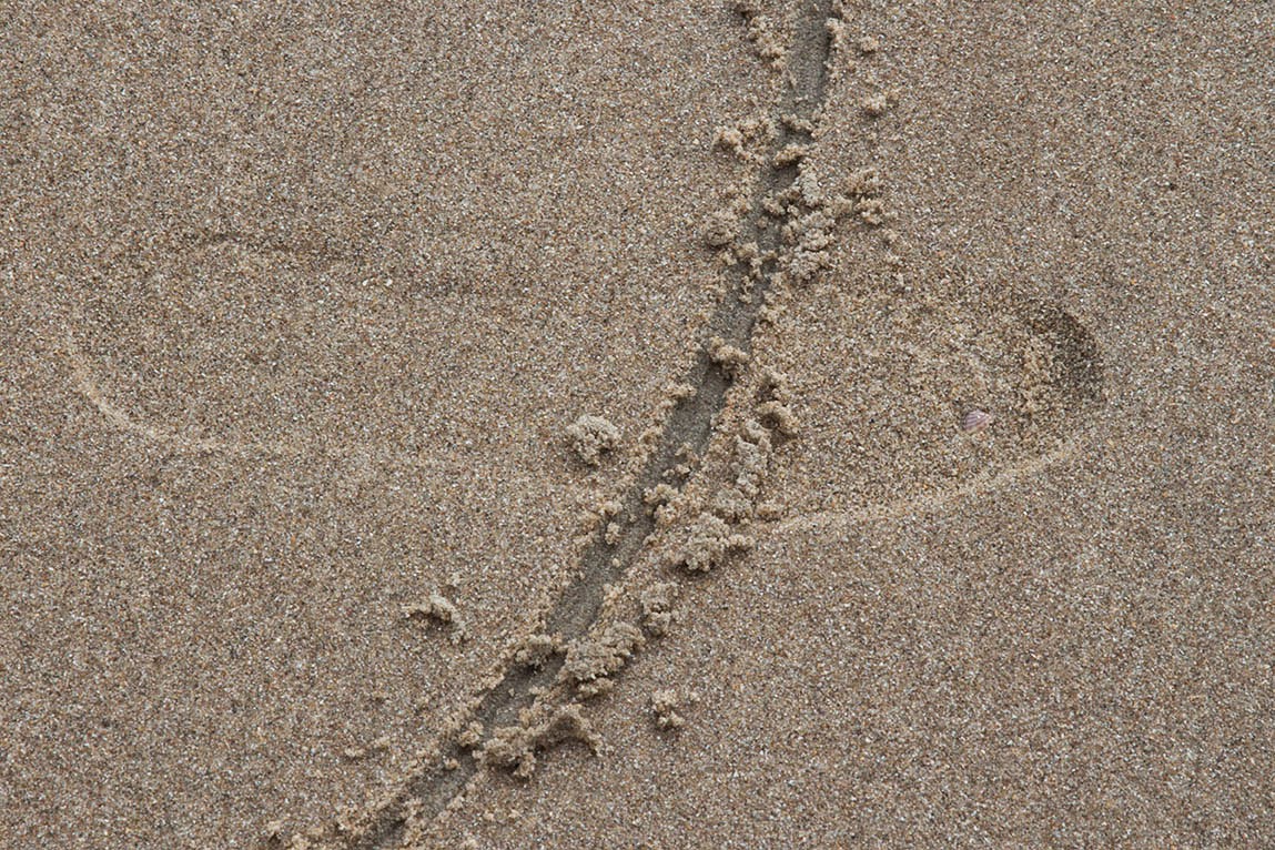 sharp line and a footstep in sand