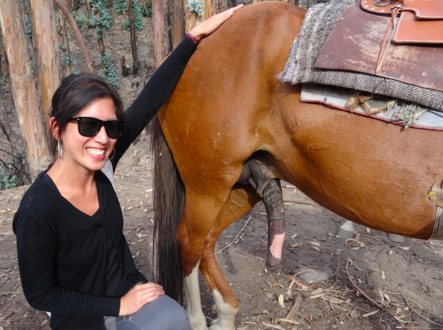 Riding a Peruvian Stallion. 