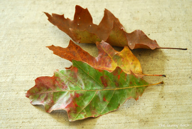 Autumn Leaves Fall Craft