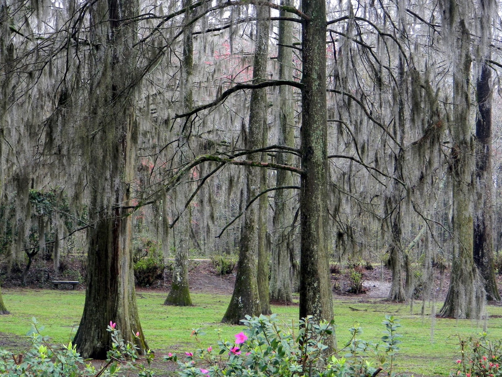 Ramblings of Roamers Edisto Gardens and Art in Walterboro, South Carolina