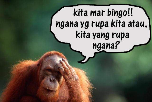 Tanawangko kampungku August 2012