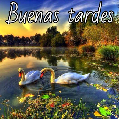 fotos de buenas tarde y deseos