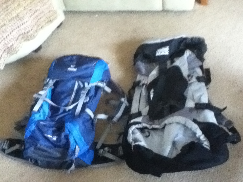 deuter futura pro 36 carry on plane