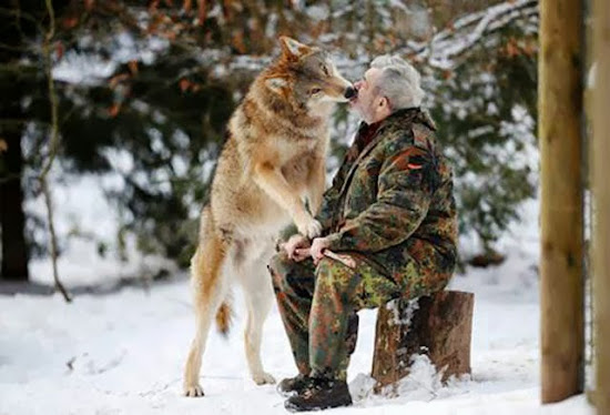When Humans and Animals Get Along