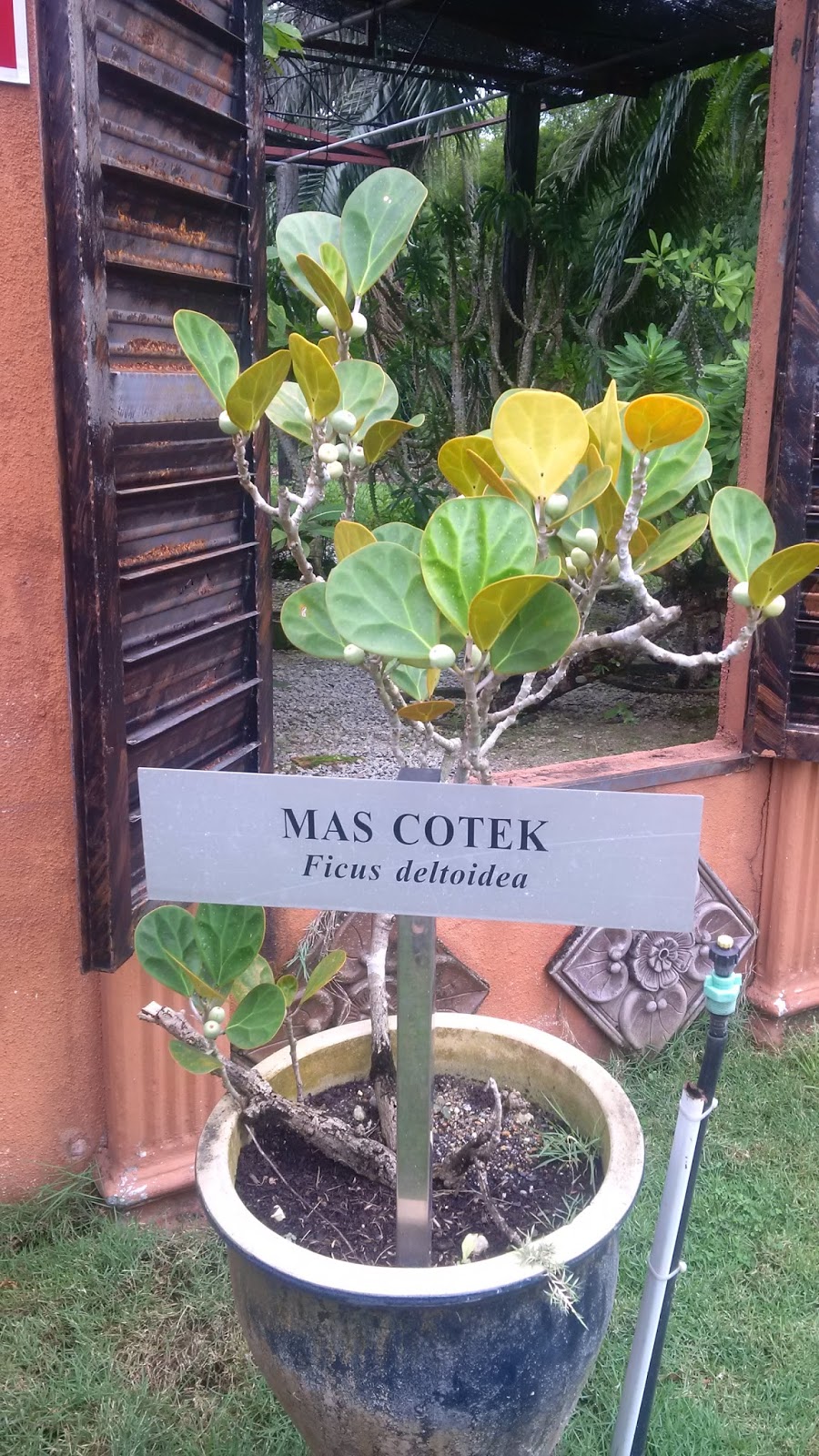 All about Malaysia Taman Herba Herbs Garden