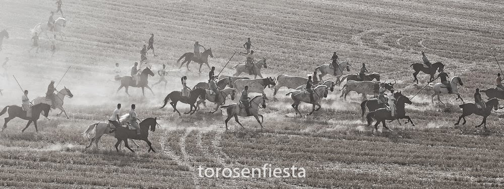 torosenfiesta