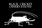 Donate to The Black Cricket Observatory Project