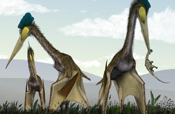 quetzalcoatlus.jpg