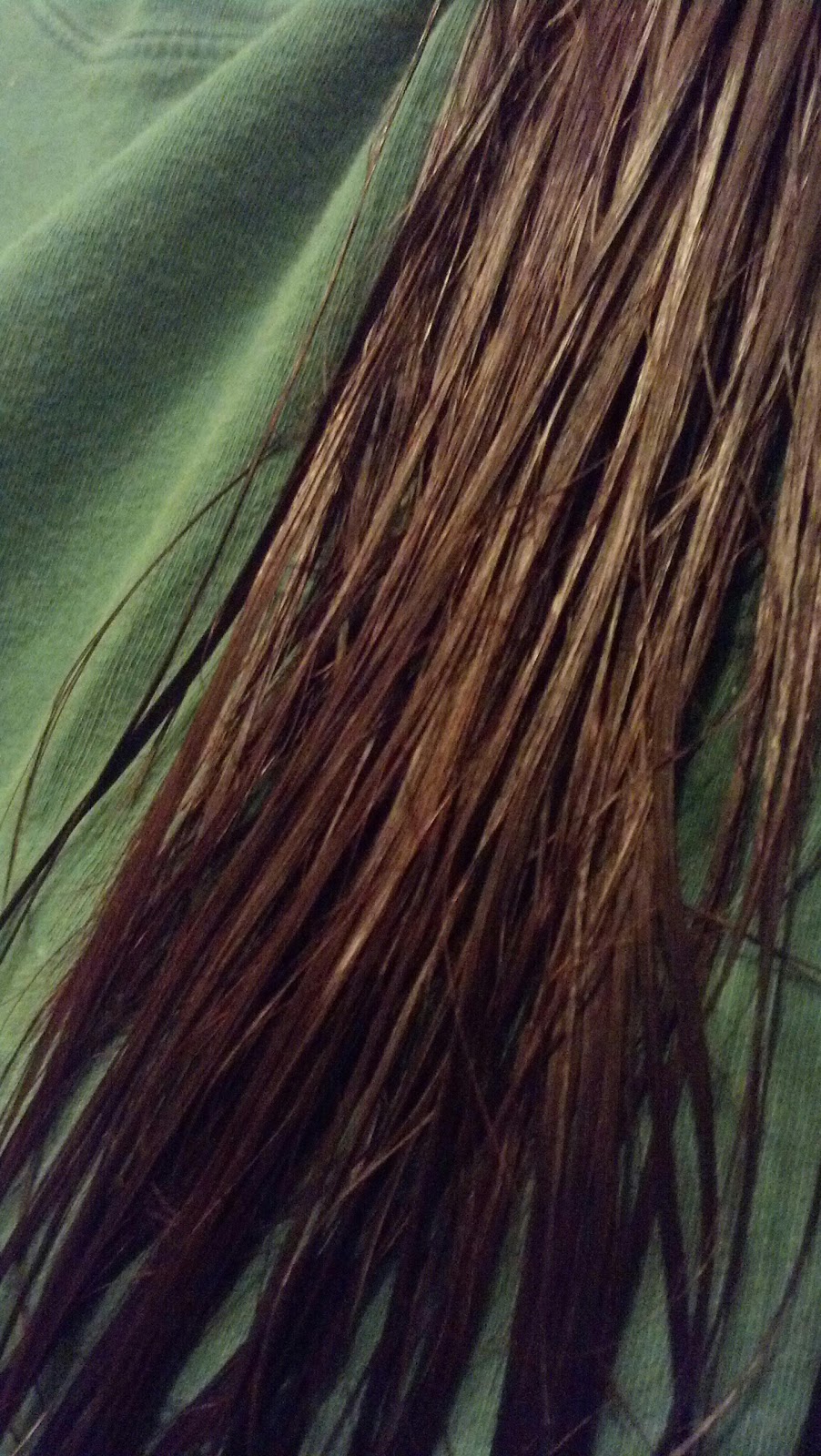 An Onion Exposed Deep Conditioning Treatment At Home