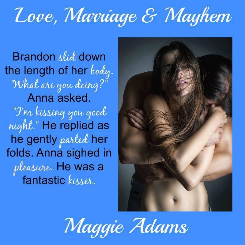 Leather and Lace, Maggie Adams Books