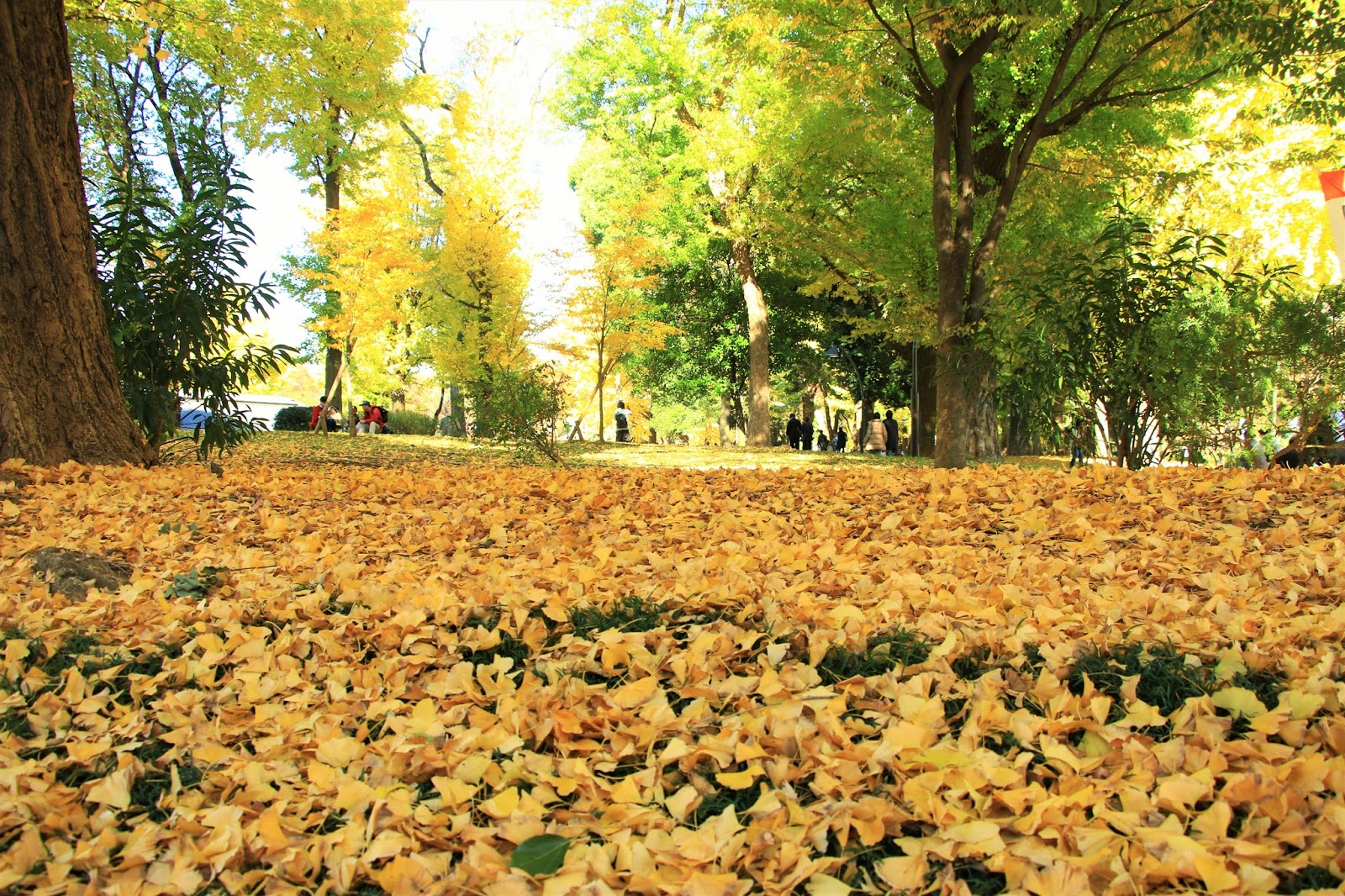 自尋樂趣 東闖西蕩關東遊 上 新宿 上野
