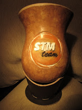 STM TEAM