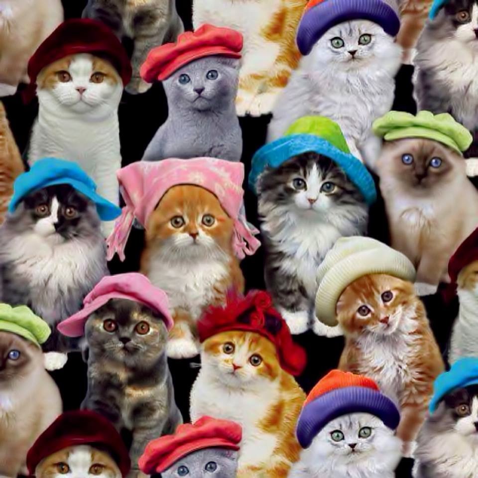 Fb Cover photos 2015 Fb Cover photos 2015