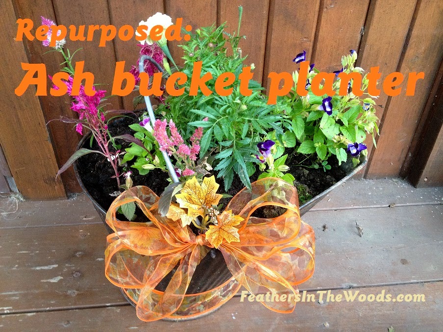 How to recycle a broken bucket into a planter Feathers in the woods