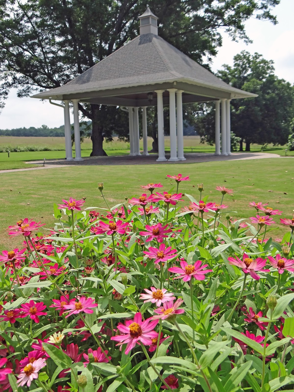 Lenora's Legacy Estate Lenora's Legacy in Full Bloom