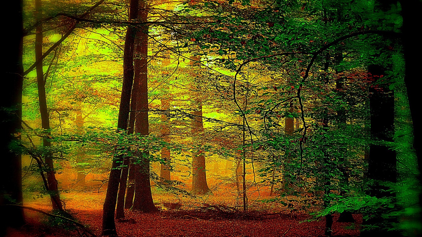 HD wallpapers for desktop android phones: BEAUTIFUL NATURE IMAGES