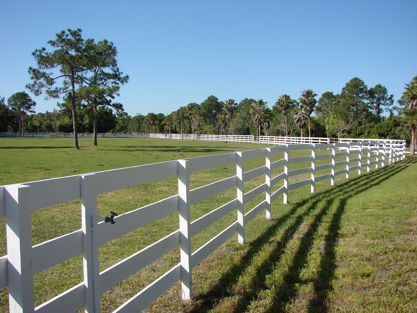Palm City Equestrian Properties Florida Equestrian Property for Sale
