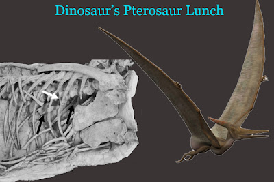 Dinosaur’s Pterosaur Lunch