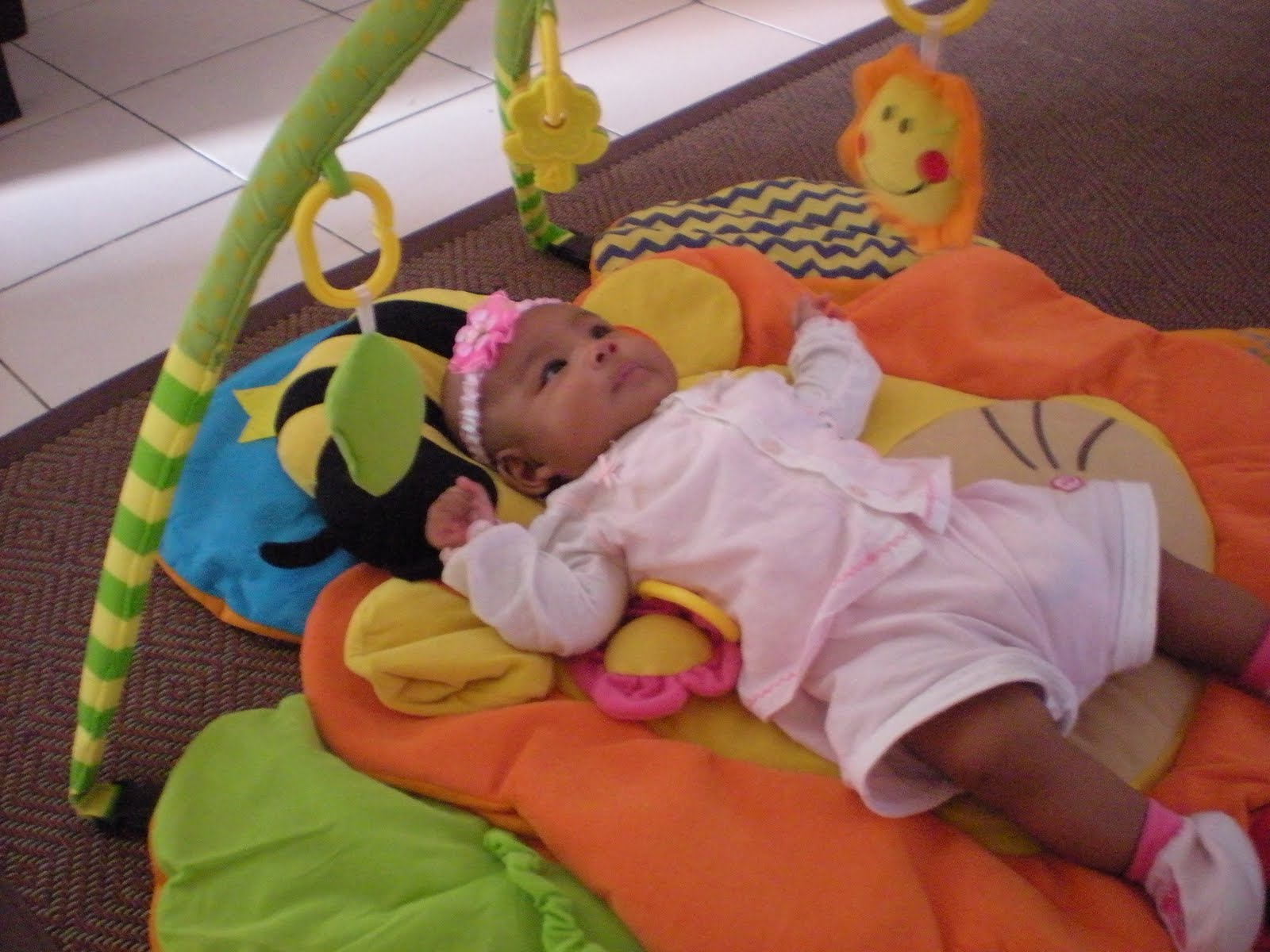 simple dimple playgym