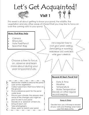 Year Long Pond Study Lessons