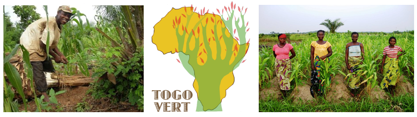 Togo Vert