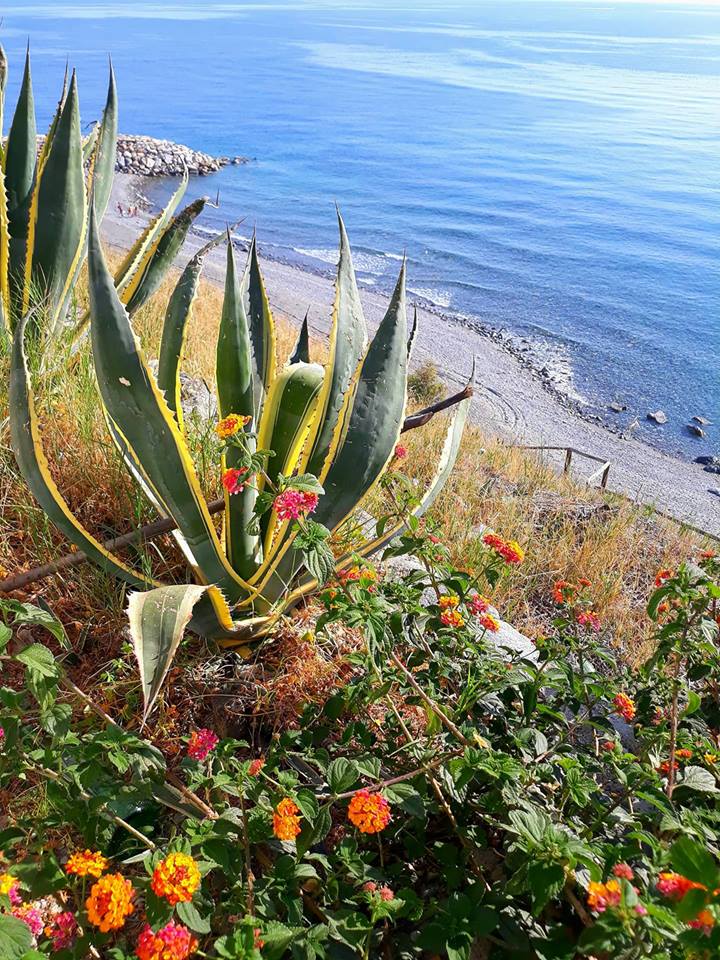 Buongiorno da Bova Marina RC .....Incantevole!! Foto di Mimma Ecelestino