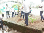 nss for cleanliness