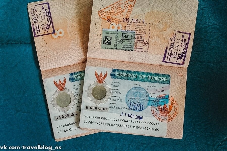 Цитаты о любимчиках Цитаты о любимчиках