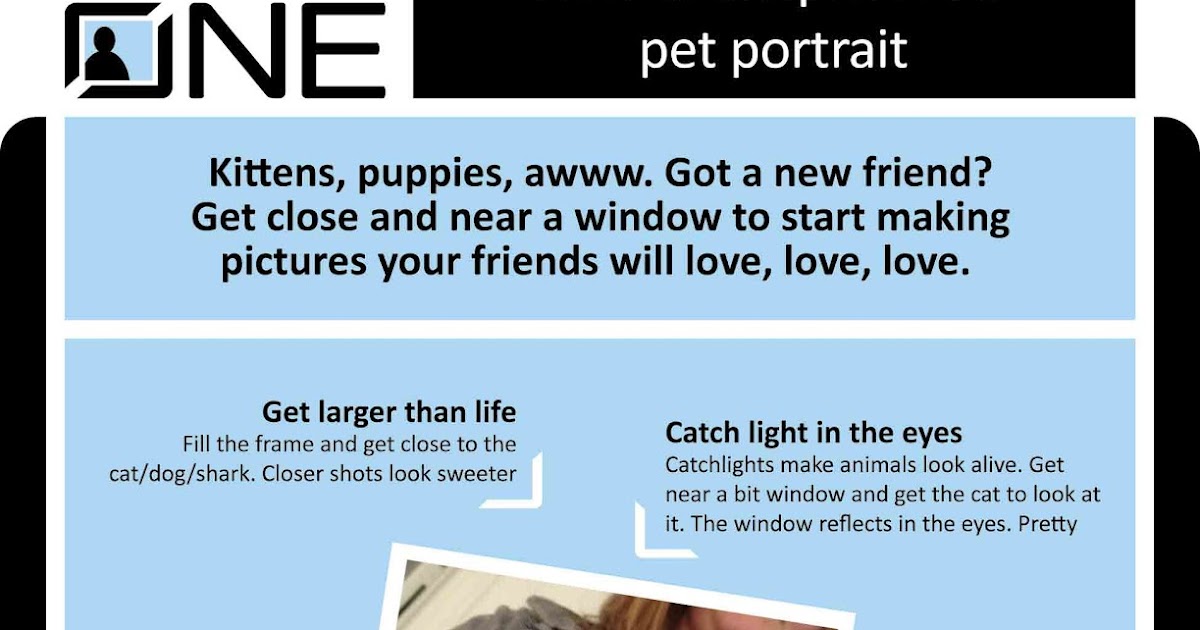 Frame One How to snapshoot a pet portrait.