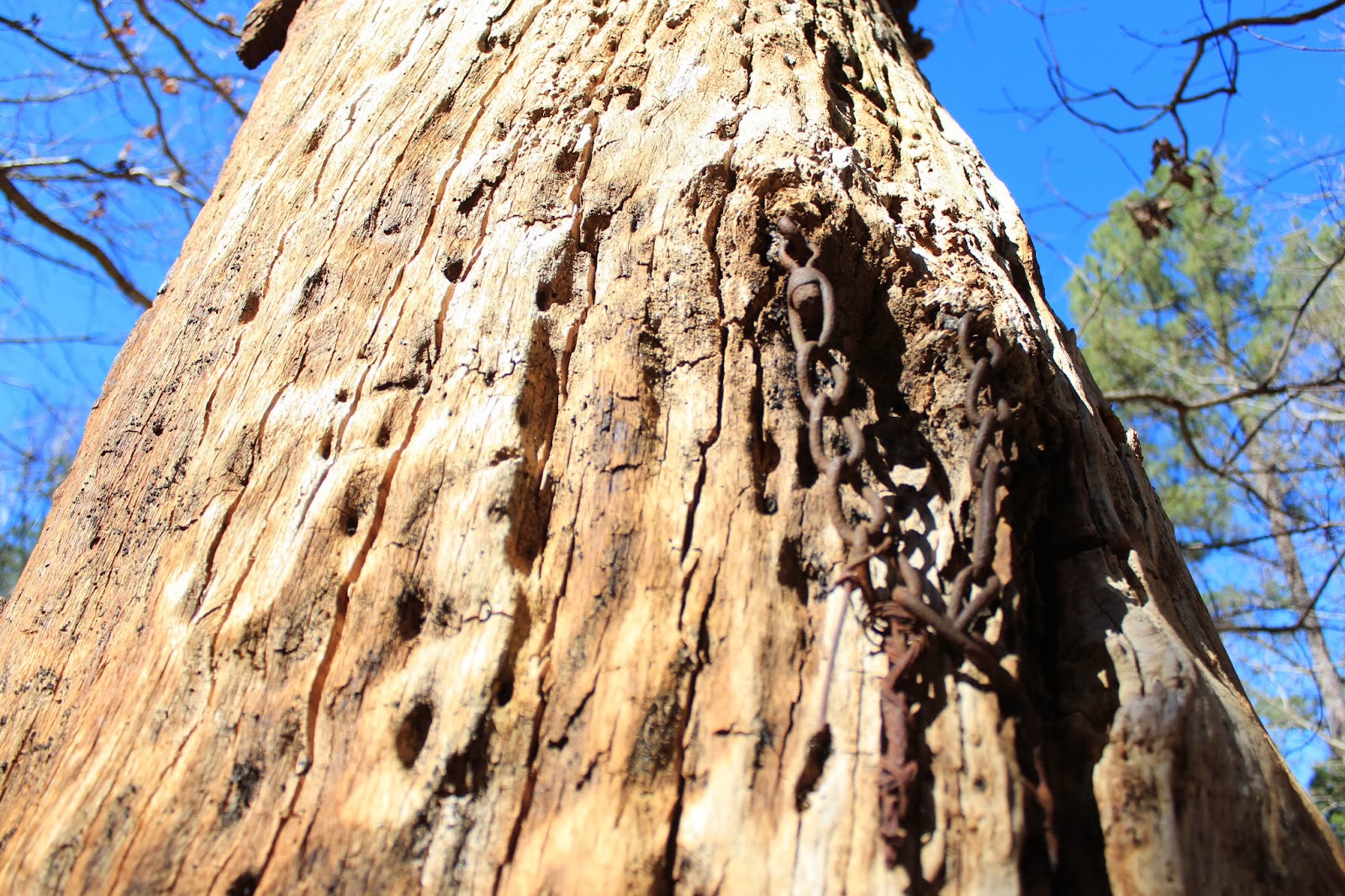 Separate but equal fun of Jim Crow in North Carolina