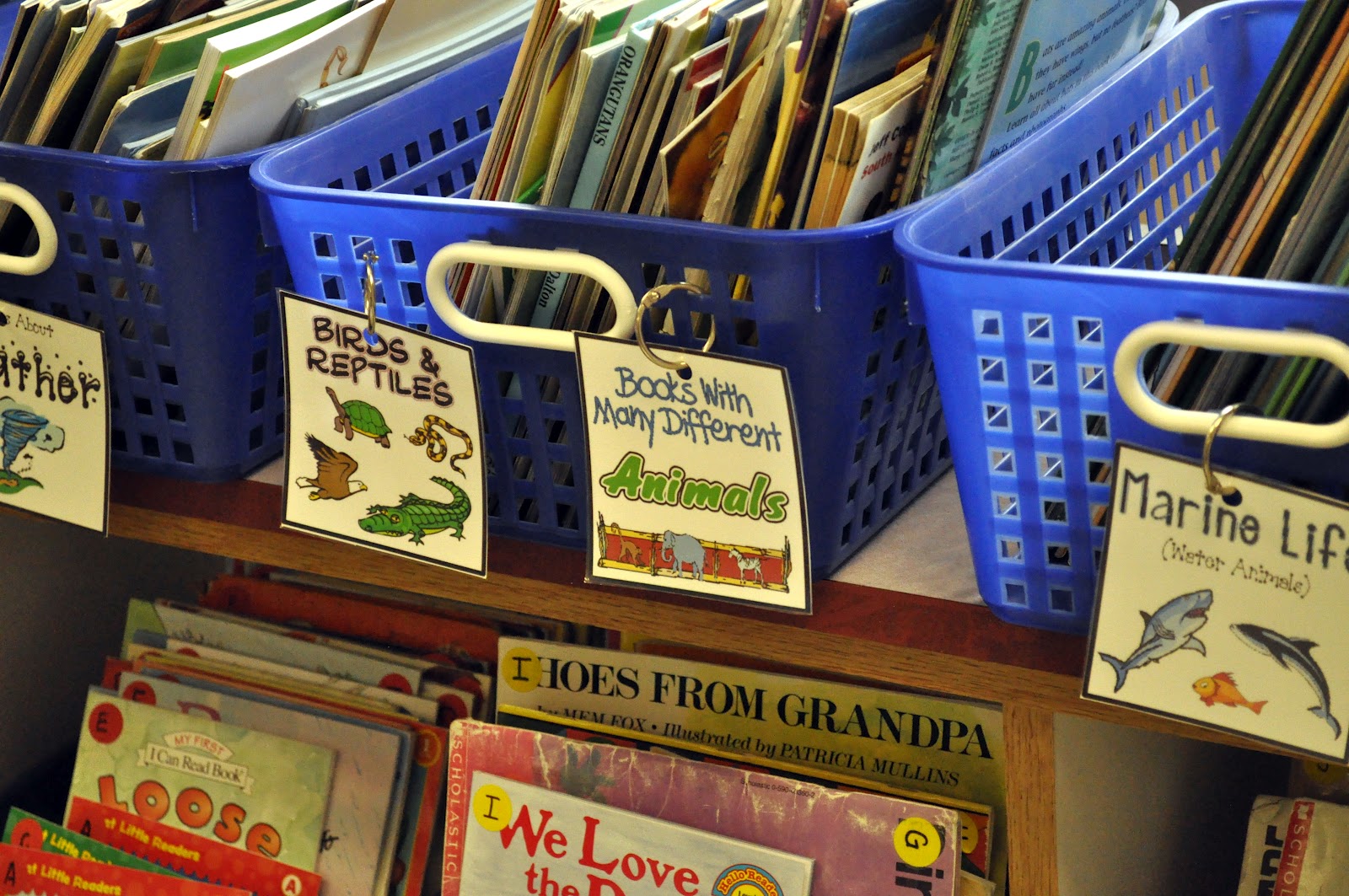 Elements of a mystery pdf image