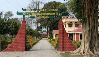 Buxa Jungle Lodge