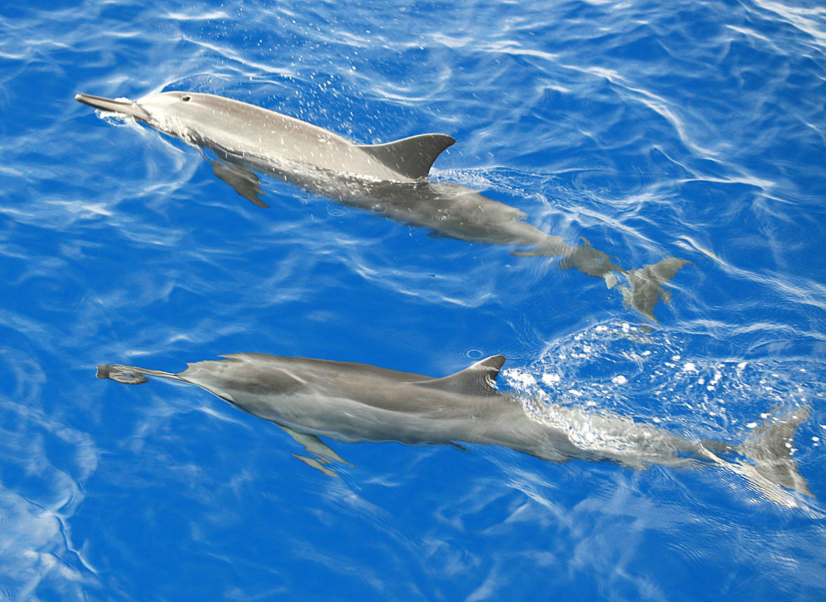 Berlin Fashion Sanzibell Streetstyle Travel Lifestyle