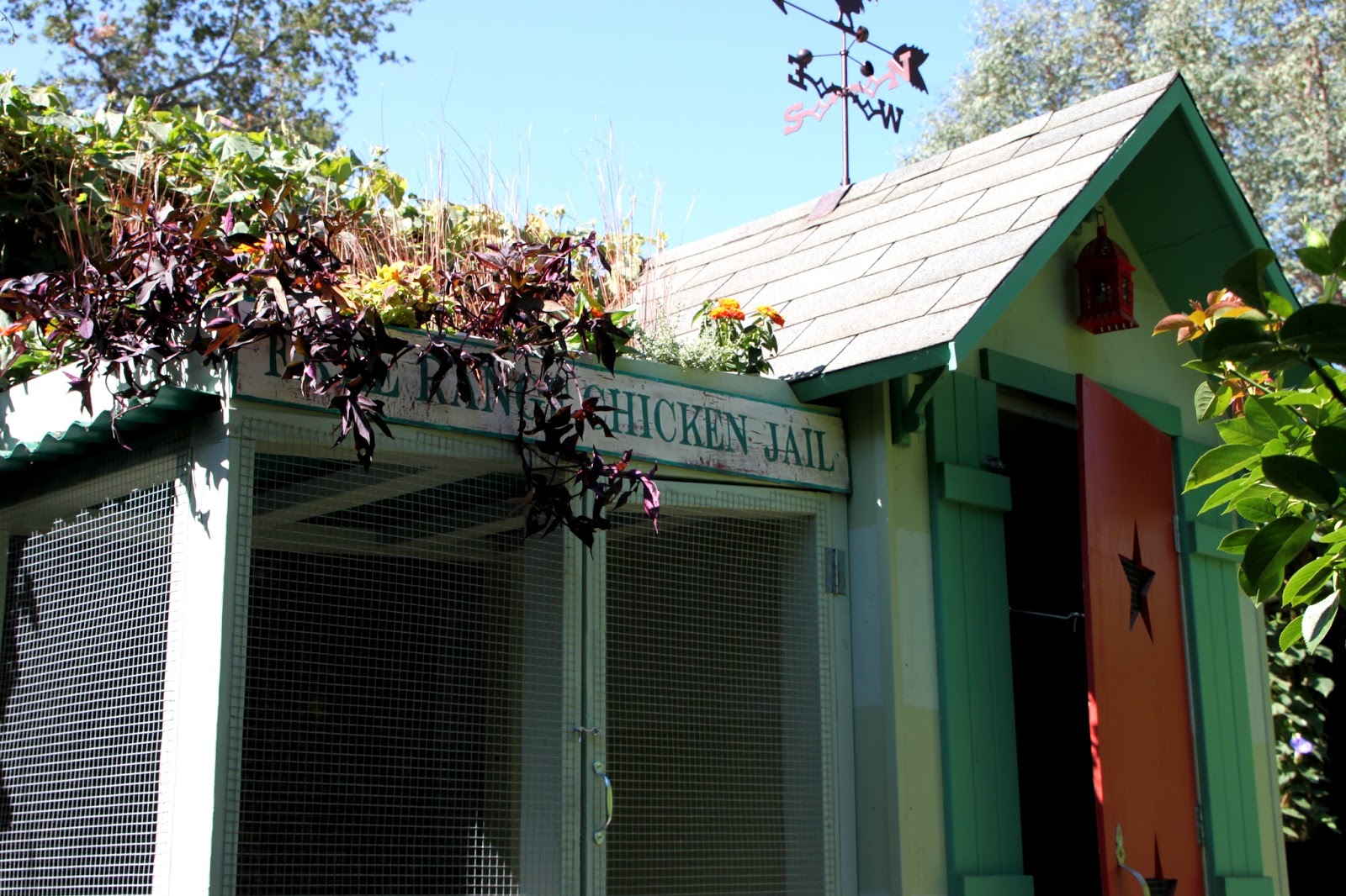 Tour de Coop Kate in Los Angeles Tilly's Nest