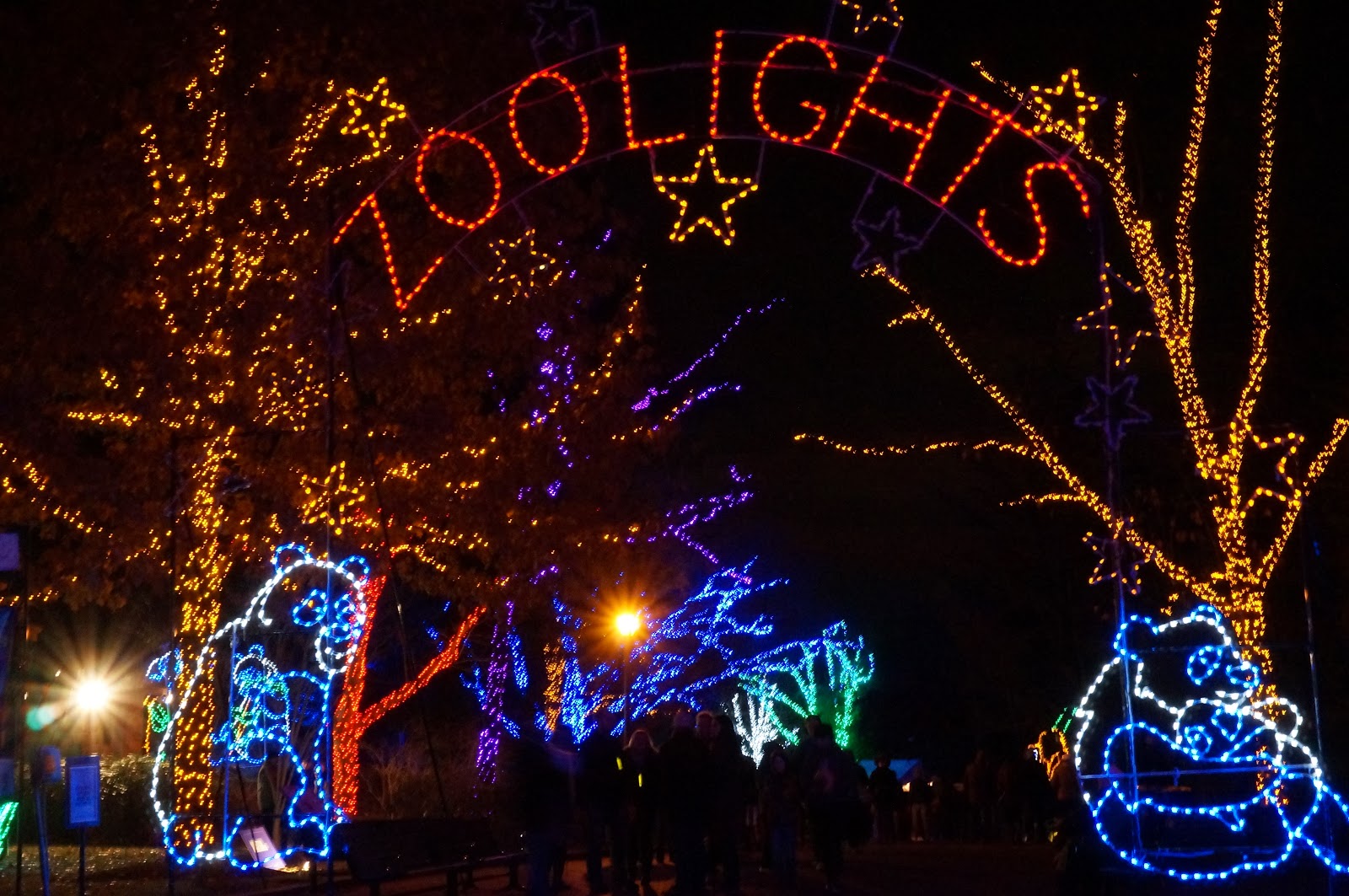 Zoo Lights In Dc Photos