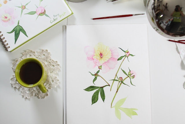 peonies, painting, watercolor, Anne Butera, My Giant Strawberry