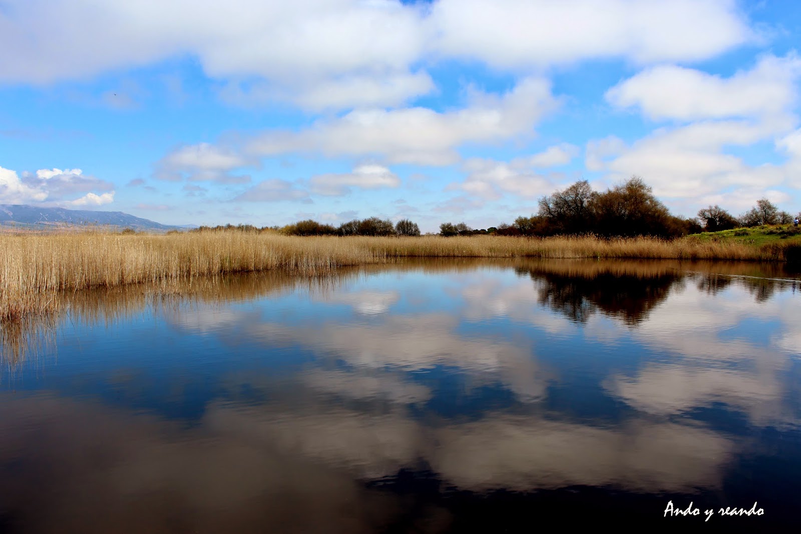 Espejo de nubes en la laguna