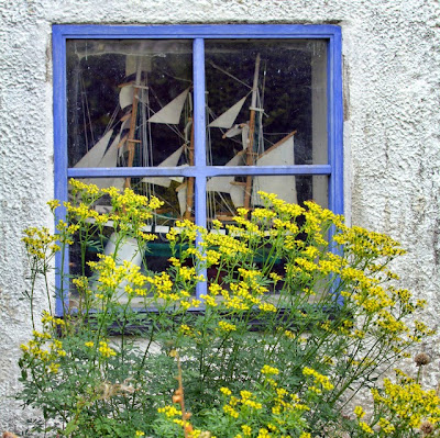 fönster villa natura vik österlen