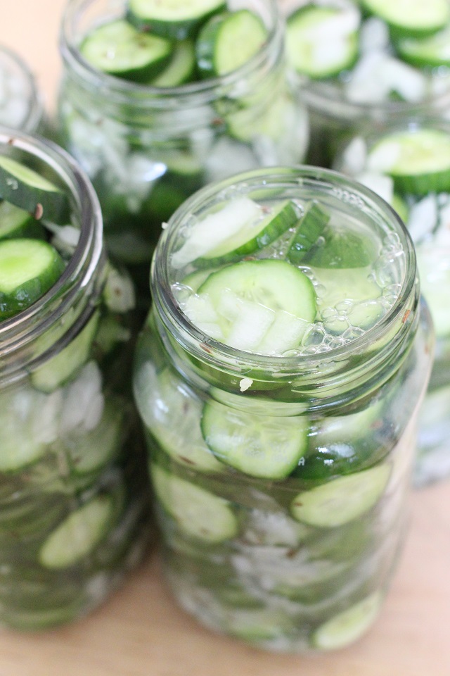 Mama Loves Food! Spicy Garlic Dill Refrigerator Pickles