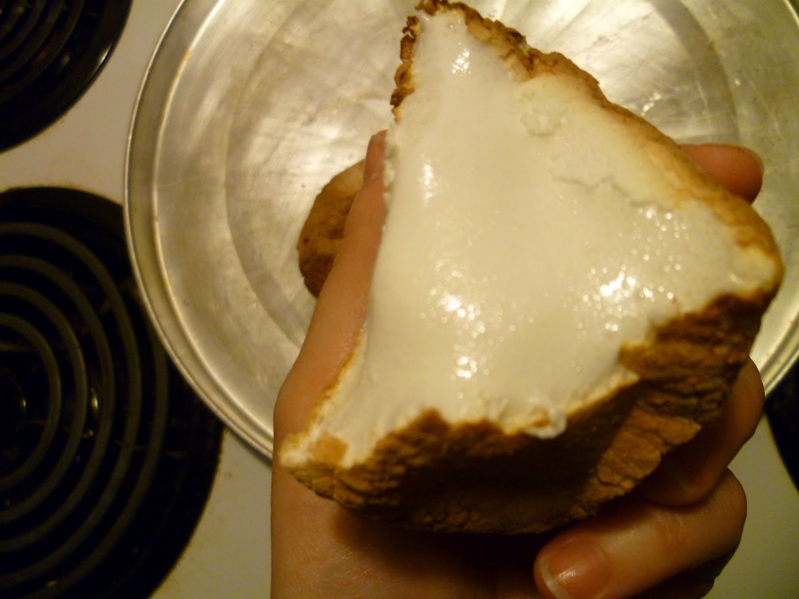 My Food Infatuation Roasted Marshmallows... in the oven!!