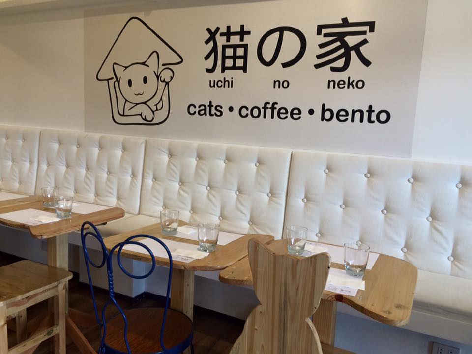 The Cat House Cafe Adorable Cats & Yummy Bento Meals It's Me, Gracee