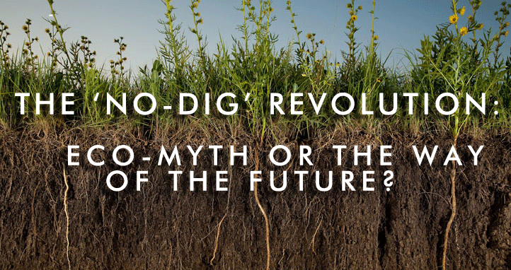 how to a to not dig grounded design by rainer to dig or not to dig are no dig planting methods how to a to not dig grounded design by rainer to dig or not to dig are no dig planting methods