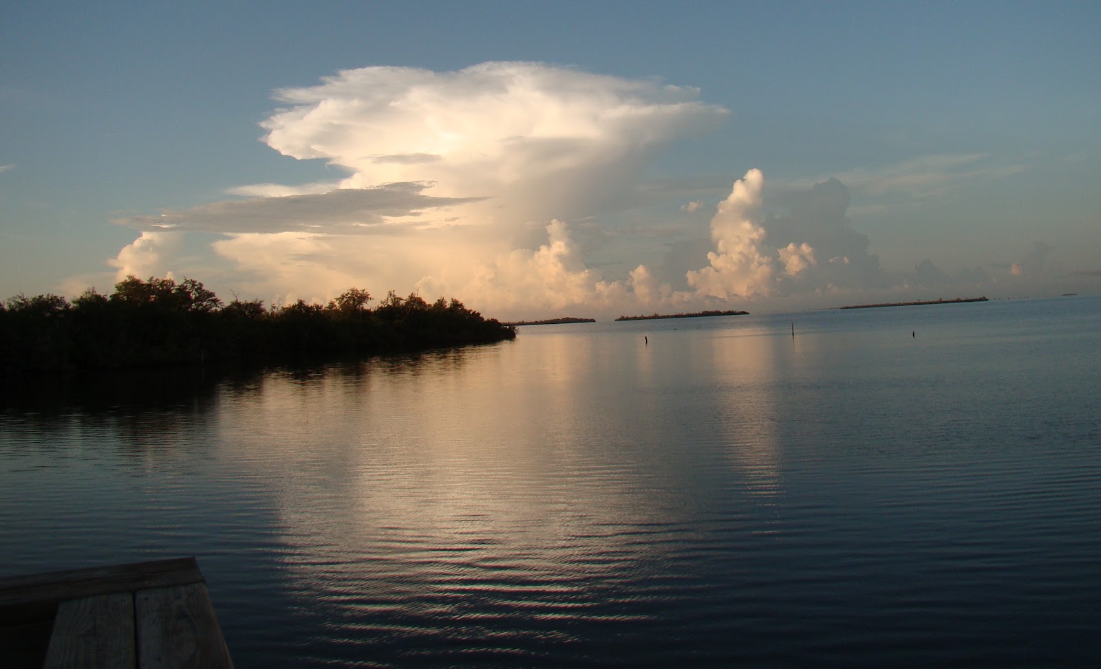 Pine Island, Florida Summer Scenes from Around Pine Island,FL