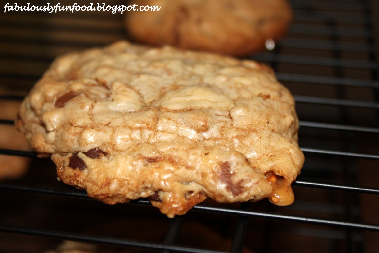 Fabulously Fun Food January Secret Recipe Club Chocolate Chip and