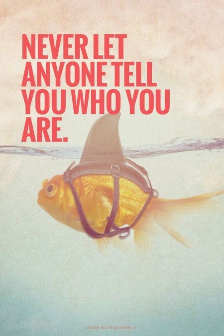 The Sas Frosh Blog Carpe Diem Rutgers Advice From A Professor