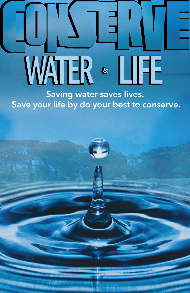 Graphics Save Water PSA Poster