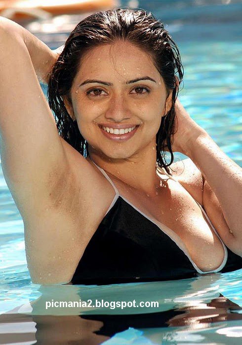 south indian actress hema malini in swimsuit hot bikini cleavage image gallery