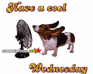 View source image Image result for happy wednesday gifs