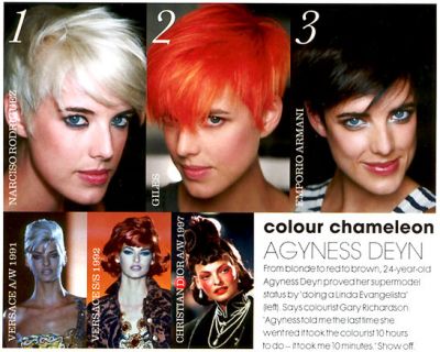 Hairstyles Id Linda Evangelista Hairstyle Trends For Women